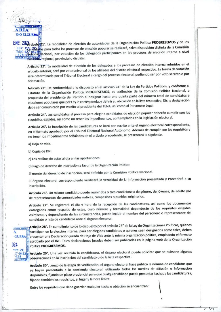 REGLAMENTO ELECTORAL_page-0006